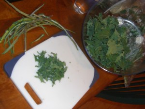 kale leaves, kale bits, and kale stems