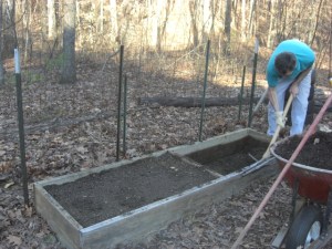 our 2x8 container garden