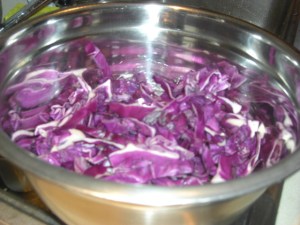 redcabbage-5