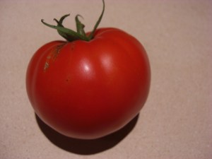 It's a tomato - we're so proud!