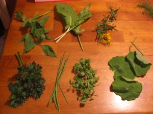 Clockwise from top left: lovage, sorrel, Mexican tarragon, Nasturtium leaves, salad burnet, chives, and parcel