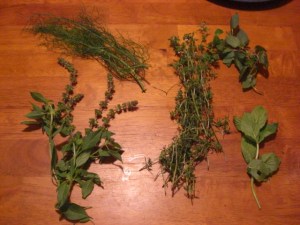 fennel, summer savory, chocolate mint, spearmin, mystery lemony herb