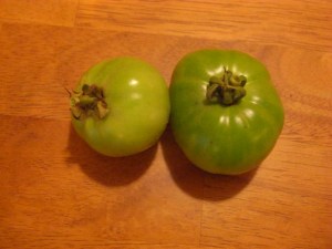 The last two tiny tomatoes from our garden!