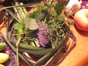 10-14herbs anise hyssop, catnip, spearmint, lemongrass, and Pennsylvania Dutch Tea Thyme