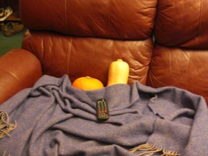 snugup (4) Squash and Pumpkin curl up on the sofa.