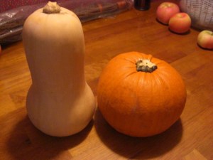 squashpumpkin Squash and Pumpkin hang out on the table