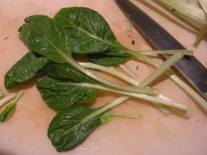 bokchoy