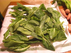 1-13-3 Komatsuna greens